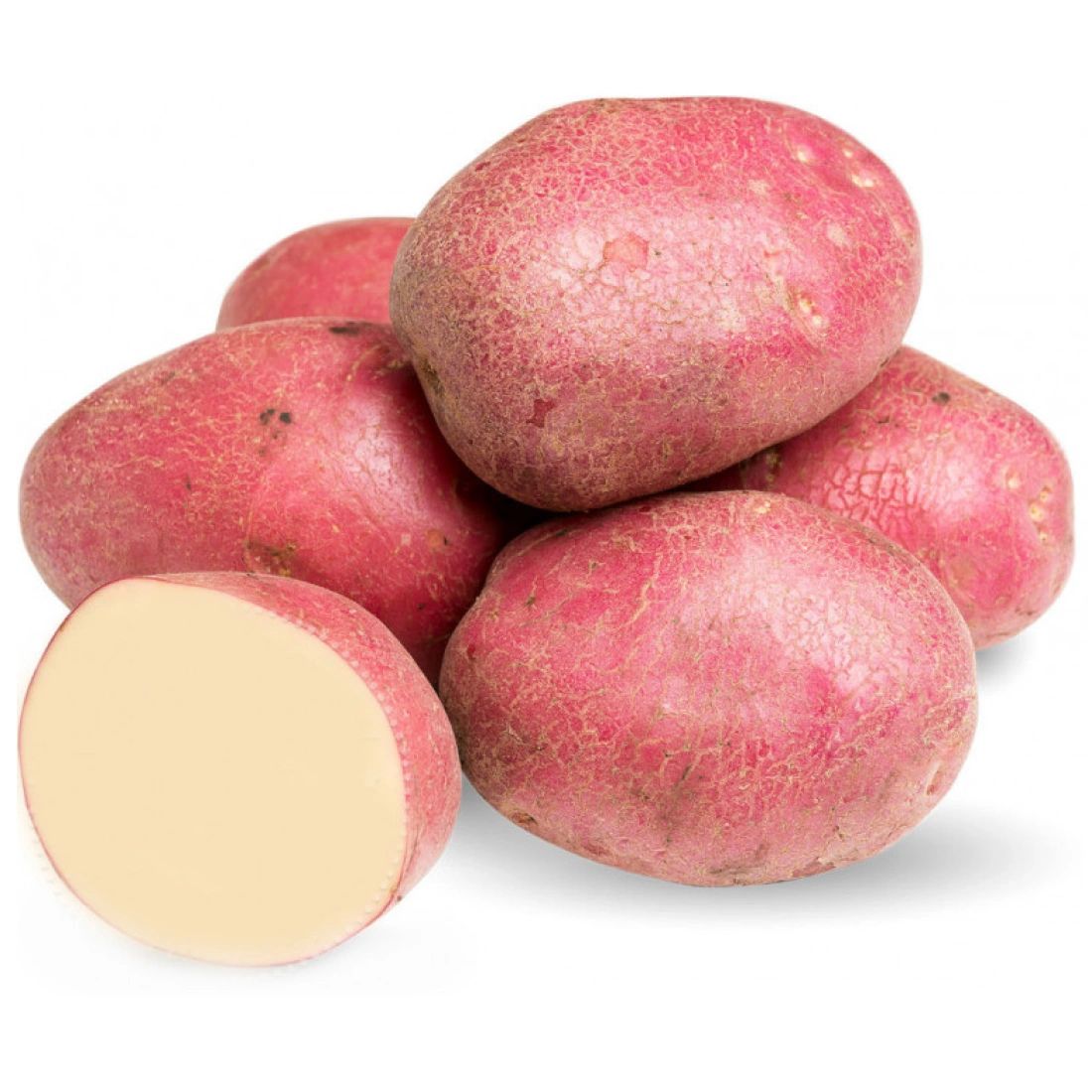 Картофель КРАСНЫЙ Манский район